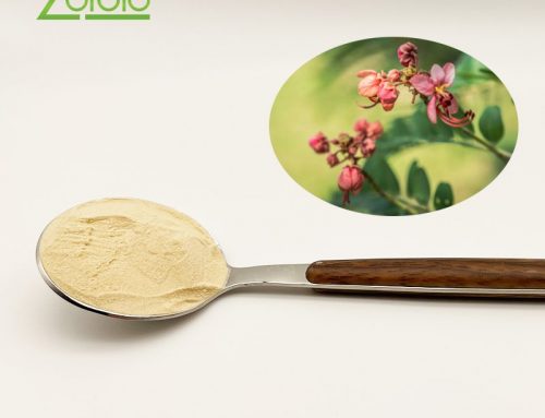 Rosa Roxburghii Fruit Extract